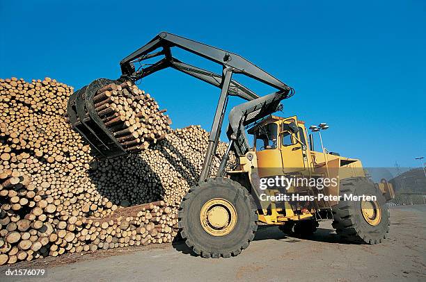 industrial vehicle transporting logs, germany - hangen fotografías e imágenes de stock