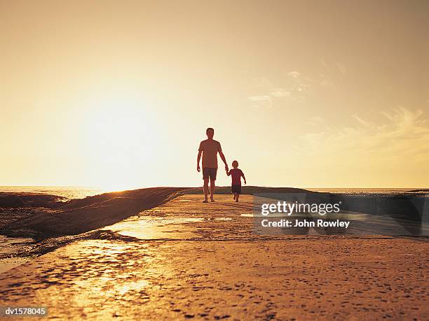 boy and his father walking on the beach in the sunlight - kapprovinz stock-fotos und bilder