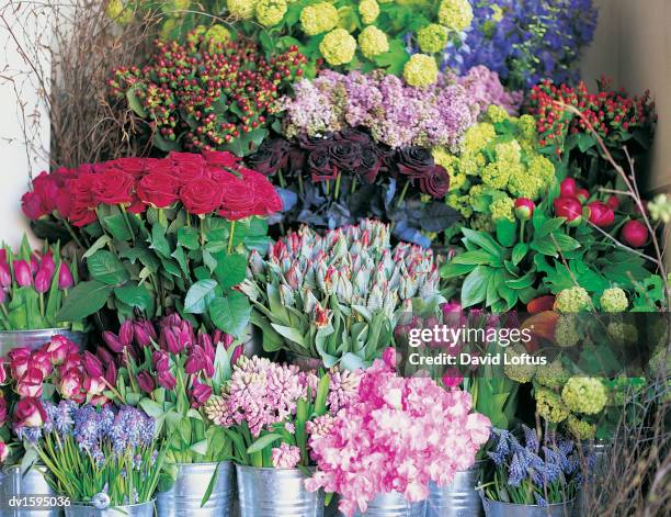 large variety of flowers in buckets at a florists - variety foto e immagini stock