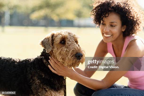 woman stoking her pet terrier, in a park - stoking 個照片及圖片檔