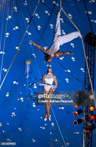 female circus acrobat hangs from the mouth of a male circus acrobat, high up in a circus tent, twirling a ribbon around herself - human body foto e immagini stock