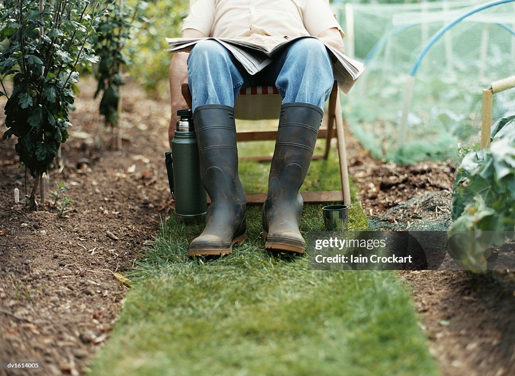 Low Section of a Man in a Garden Sitting in a Deck Chair With a Newspaper on his Lap