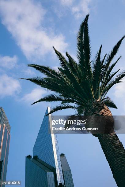 stock exchange, downtown mexico city, mexico - mexico city stock exchange stockfoto's en -beelden