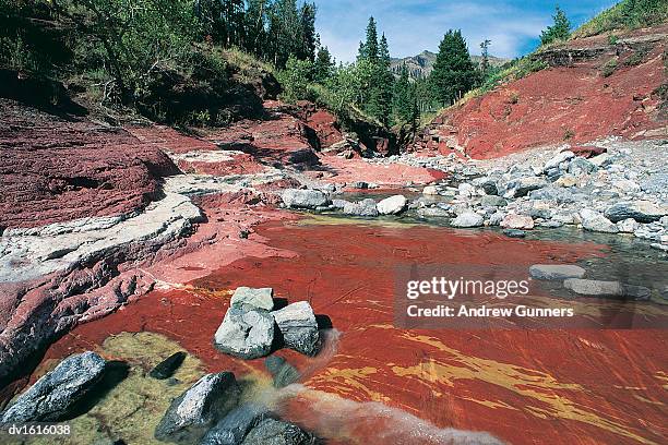 red rock canyon, waterton national park, canadian rockies, canada - red canyon bildbanksfoton och bilder