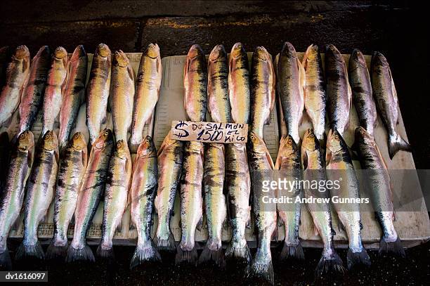 fresh salmon on a wooden block at a market stall - wooden block stockfoto's en -beelden