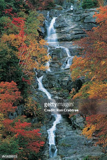 waterfall in the white mountains, new hampshire in autum - new hampshire 個照片及圖片檔