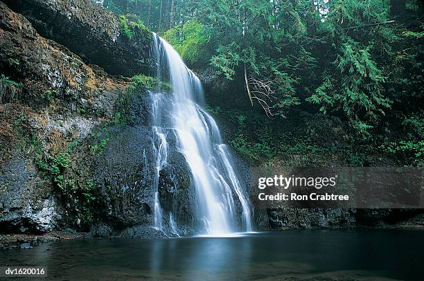 waterfall in silver falls state park, oregon, usa - ron stock pictures, royalty-free photos & images