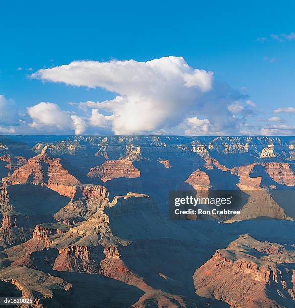 grand canyon, arizona, usa - ron stock pictures, royalty-free photos & images