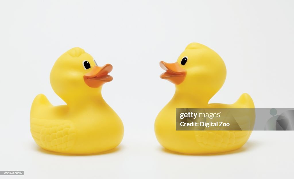 Two Rubber Ducks, Face-to-Face Studio Shot