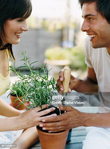 couple putting a plant into a plant pot - pot plant stock pictures, royalty-free photos & images