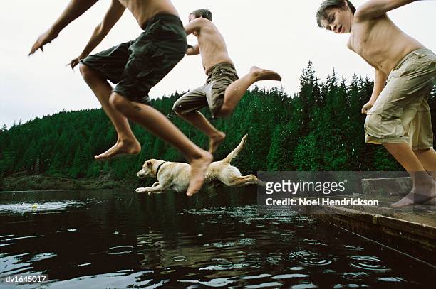 three young boys jump into a lake by a forest with their pet dog - shorts down stock pictures, royalty-free photos & images