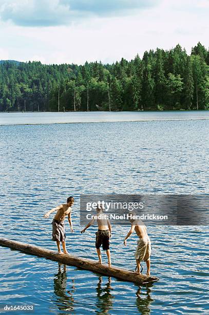 Log Floating In Water Photos and Premium High Res Pictures - Getty Images