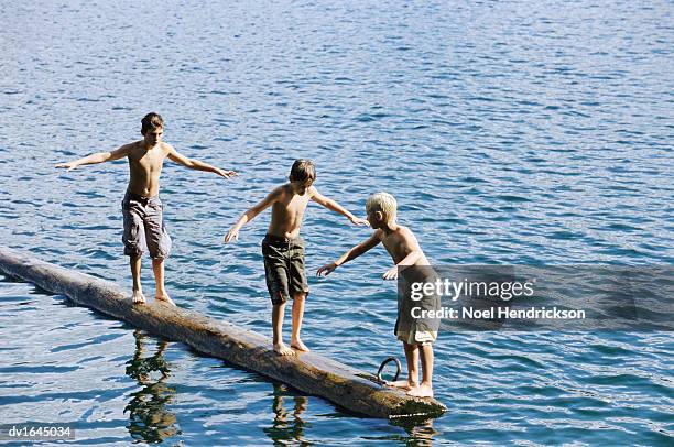 Log Floating In Water Photos and Premium High Res Pictures - Getty Images
