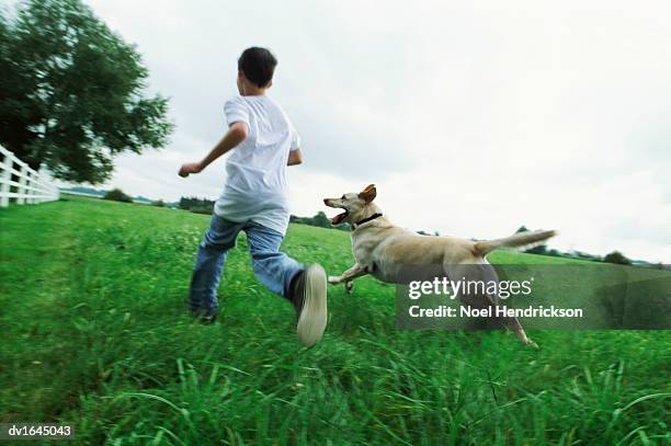 rear view of a young boy running side by side with his pet dog in a country field - boy running with dog stock-fotos und bilder