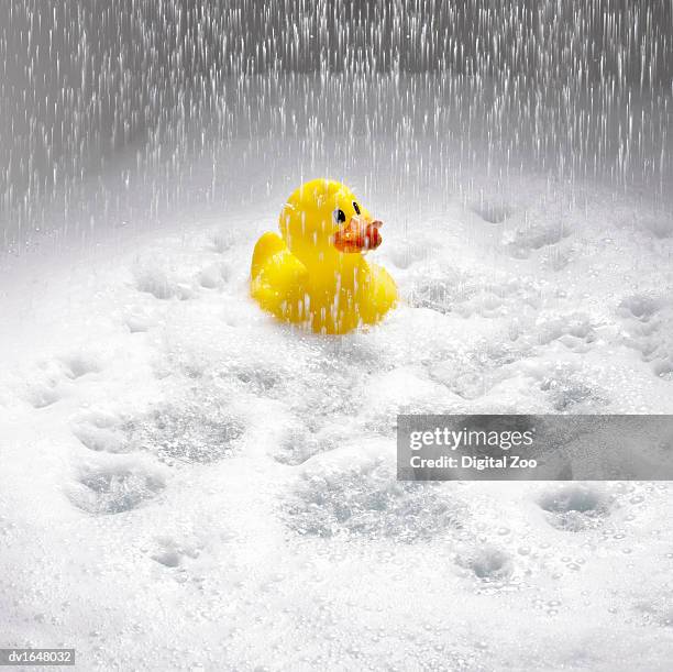 rubber duck sitting in a hail storm - sitting duck stock pictures, royalty-free photos & images