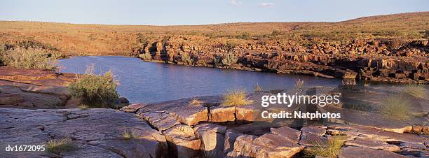 fitzroy river at sunset, kimberley, western australia - fitzroy stock-fotos und bilder