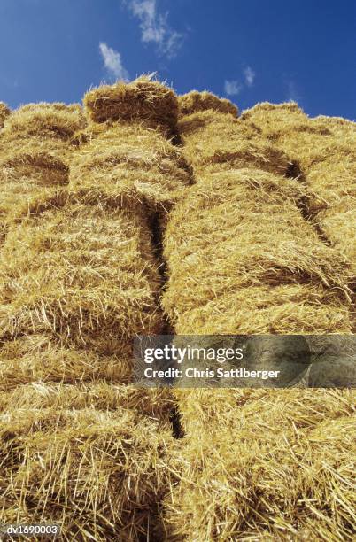 stack of bales of hay - hay fotografías e imágenes de stock