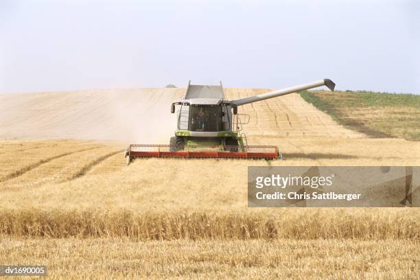 combine harvester harvesting wheat in field - chris sattlberger stock pictures, royalty-free photos & images