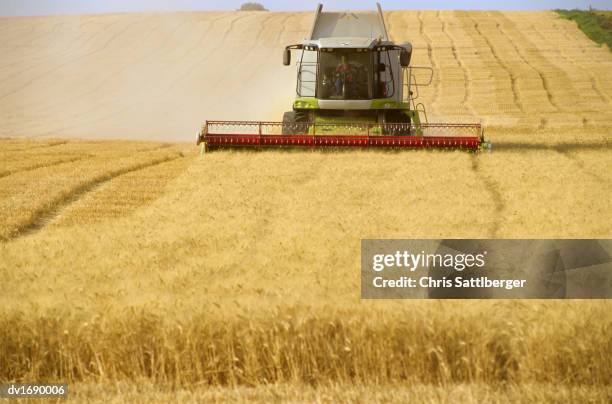 combine harvester harvesting wheat in field - combine foto e immagini stock