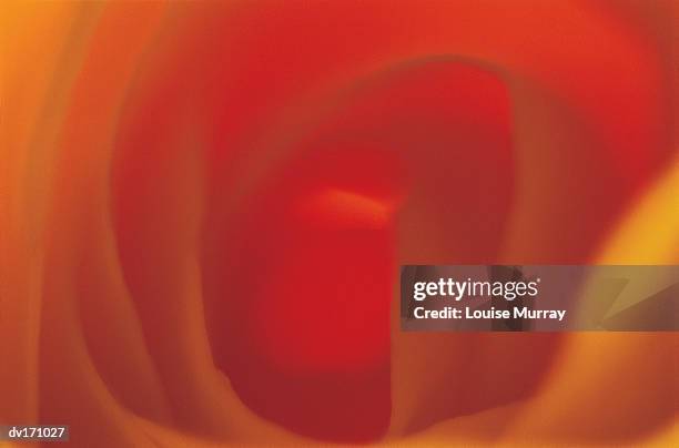 overhead magnification of flower's orange - red center - murray imagens e fotografias de stock