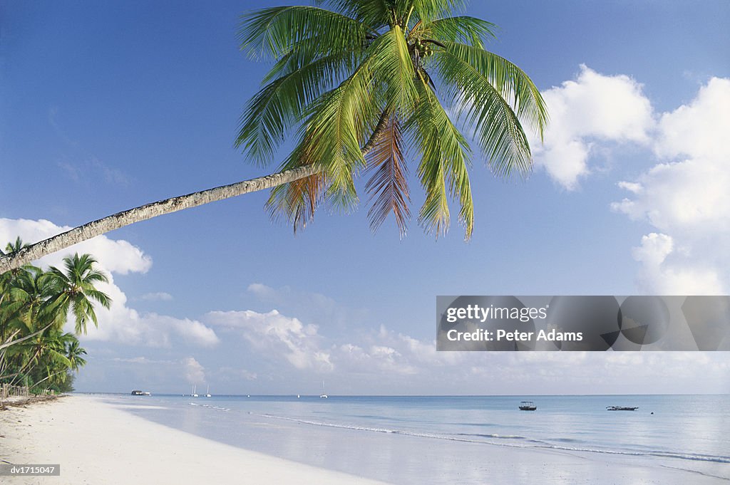 Paradise Beach, Zanzibar, Tanzania, Africa