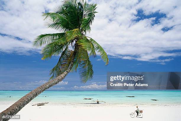 paradise beach, zanzibar, tanzania, africa - paradise beach stock pictures, royalty-free photos & images