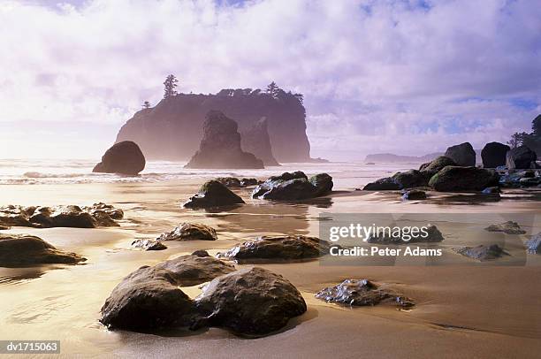 rocky beach and island, olympic national park, washington state, usa - peter island stock pictures, royalty-free photos & images