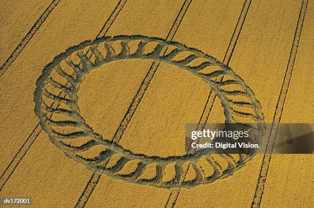 circular design in field - graancirkel stockfoto's en -beelden