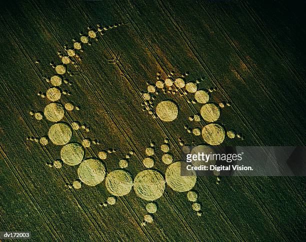 pattern of circles in field - crop circles stock pictures, royalty-free photos & images