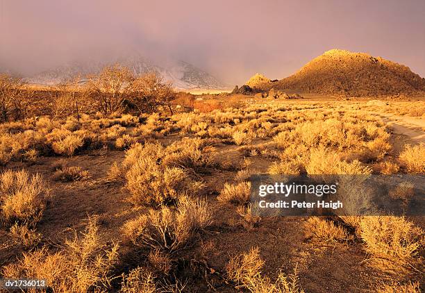 approaching storm, alabama hills, eastern sierra, california, usa - alabama hills stock-fotos und bilder