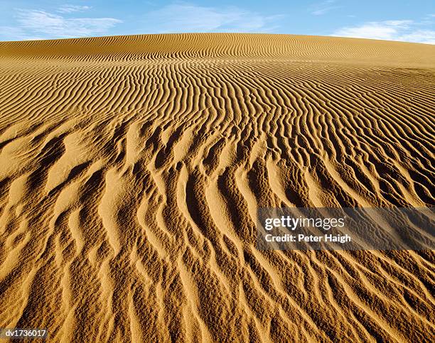 mesquite dunes, death valley national park, california, usa - mesquite flat dunes stock pictures, royalty-free photos & images