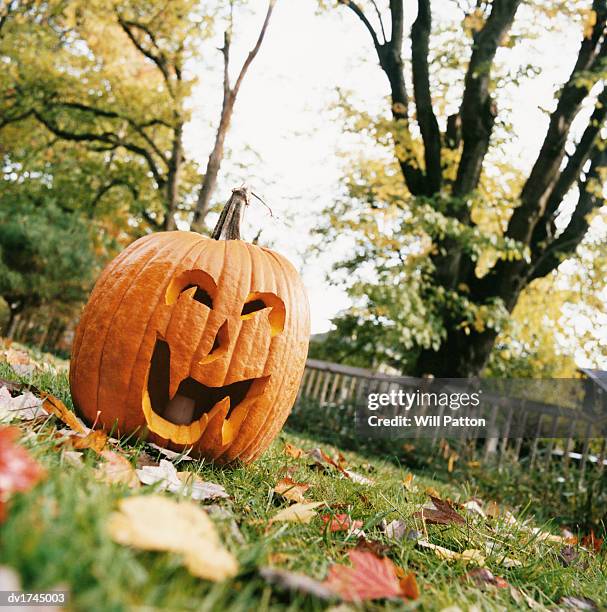 pumpkin jack o lantern on a leaf covered garden lawn - jack o lantern imagens e fotografias de stock