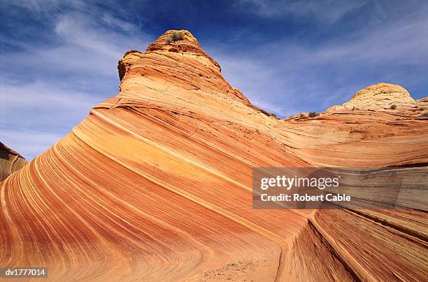 coyote buttes, paria canyon national park, utah, usa - paria canyon foto e immagini stock