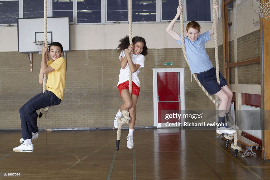 School Ceiling Ropes School Gym Rope Equipment Ropes Gym Ropes SterlingRope.com
