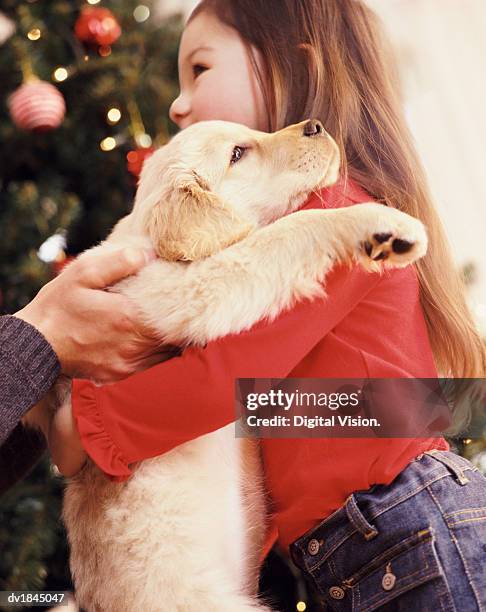 girl with long brown hair embracing a puppy, christmas gift - presents season 2 of kingdom at the 2015 tca summer press tour stockfoto's en -beelden