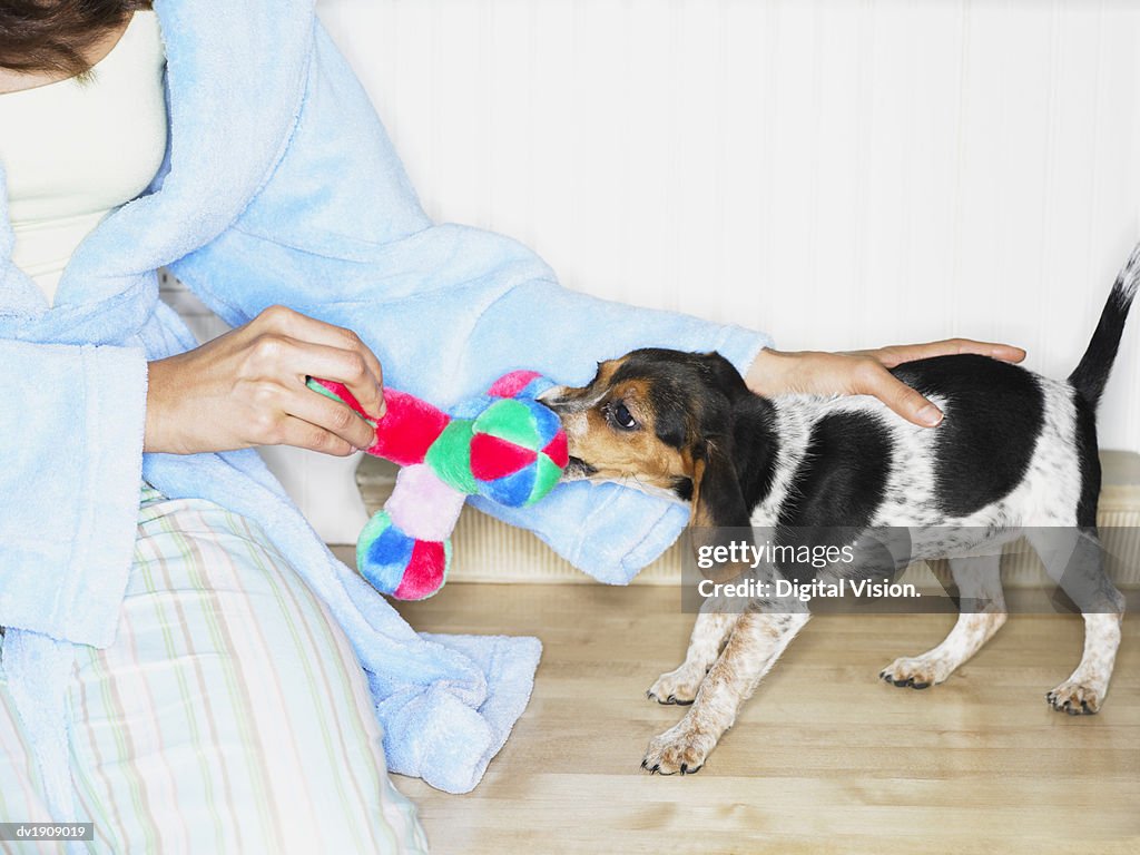 Mid Section View of a Woman Holding a Cuddly Toy Whilst  Puppy Dog Bits It.