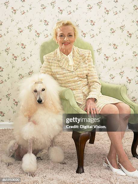 studio portrait of a woman wearing a suit and her poodle dog - digital devices beside each other bildbanksfoton och bilder