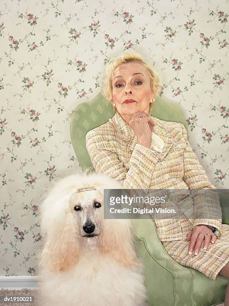 displeased looking woman sitting on an armchair with a poodle next to her - poodle stockfoto's en -beelden
