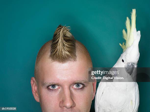 man with a mohican next to a cockatoo - rappresentare foto e immagini stock