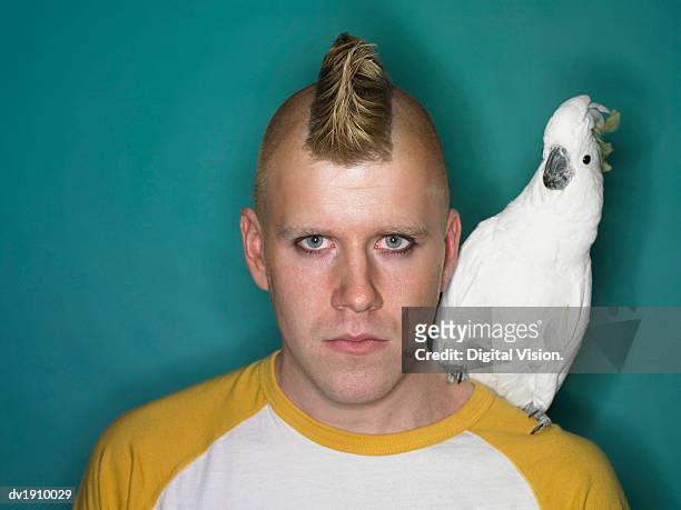 studio portrait of a man with a mohican standing with a cockatoo on his shoulder - cockatoo stock-fotos und bilder