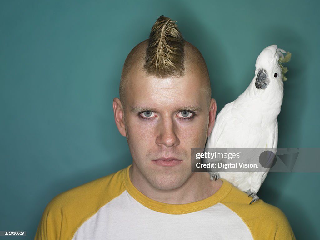 Studio Portrait of a Man With a Mohican Standing With a Cockatoo on His Shoulder