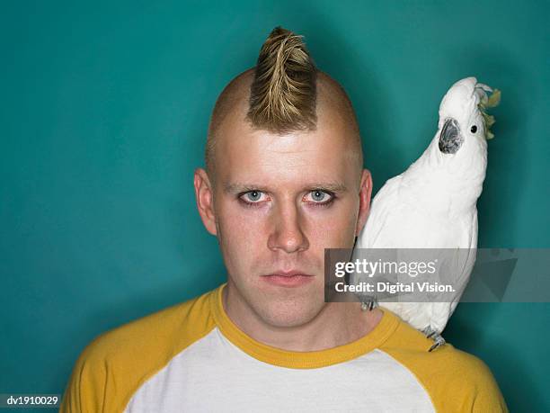 studio portrait of a man with a mohican standing with a cockatoo on his shoulder - 旁邊 個照片及圖片檔