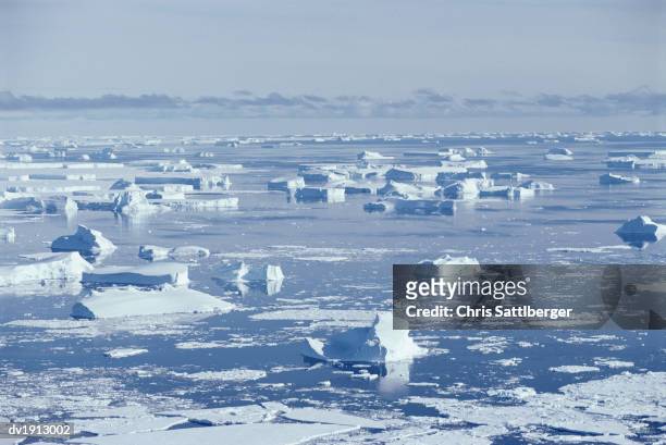 antarctica, petersen bank, icebergs - chris sattlberger stock pictures, royalty-free photos & images
