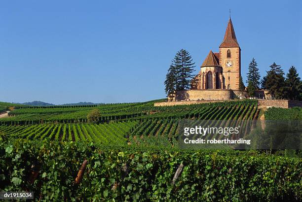 church and vineyards, hunawihr, alsace, france - オーラン ストックフォトと画像