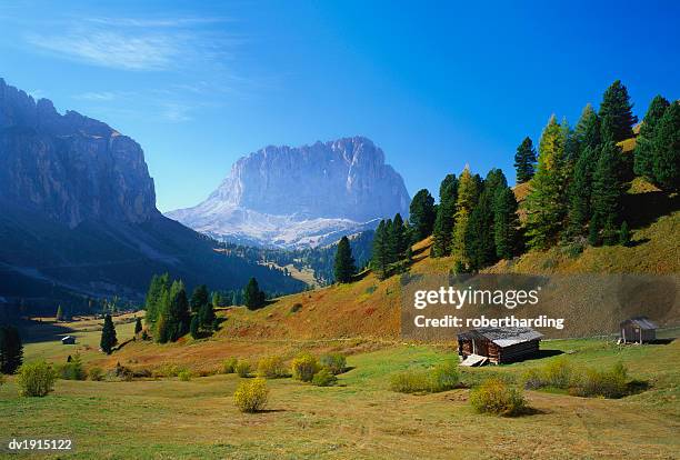 selva di val gardena, trentino-alto adige and the dolomites, italy - selva stock pictures, royalty-free photos & images