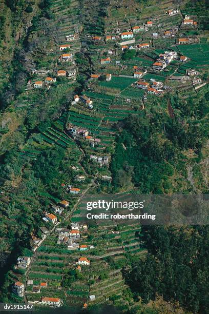 aerial view of terraced fields, curral das freiras, madeira, portugal - atlantic islands stock-fotos und bilder