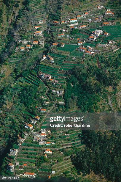 aerial view of terraced fields, curral das freiras, madeira, portugal - atlantic islands ストックフォトと画像