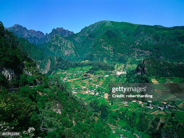 cruzinhas, madeira, portugal - atlantic islands stock-fotos und bilder