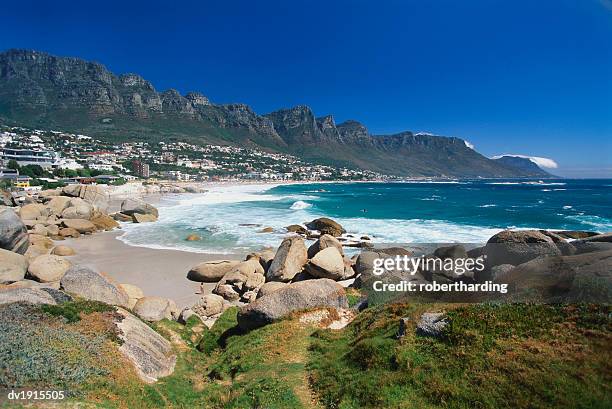 clifton beach, cape town, south africa - cape province stock pictures, royalty-free photos & images