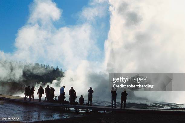 castle geyser, upper geyser basin, yellowstone national park, wyoming, usa - basin ストックフォトと画像
